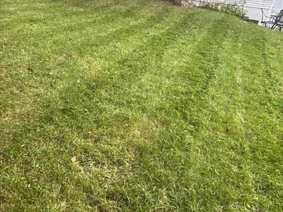 Lawn Care service in Deforest, 53532