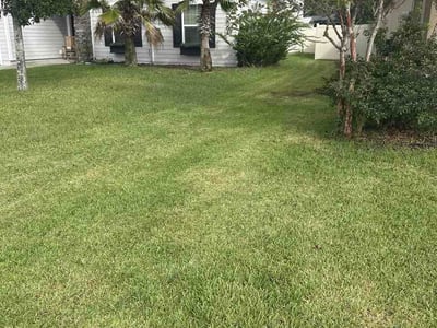 Lawn Care service in Crystal River, 34428
