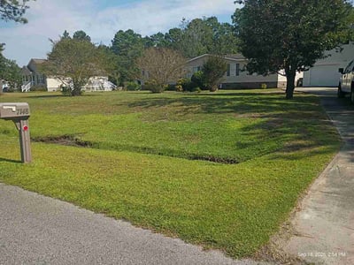 Lawn Care service in Leland, 28451