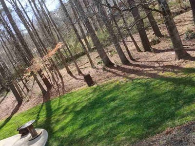 Lawn Care service in North Brunswick, 08902