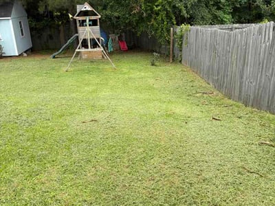 Lawn Care service in Leland, 28451