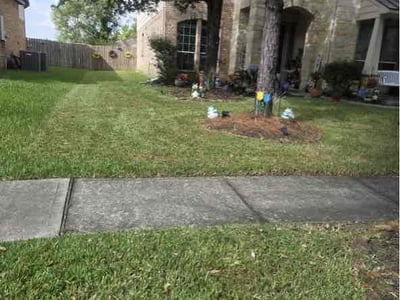 Lawn Care service in Mission, 78572