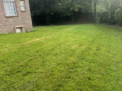 Lawn Care service in Oneonta, 35121
