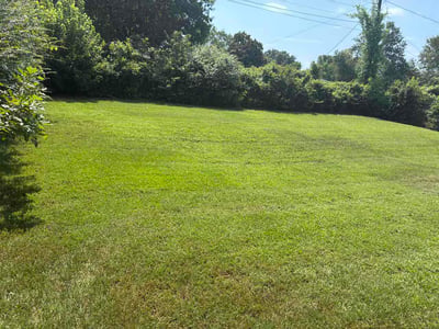Lawn Care service in Senatobia, 38668