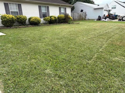 Lawn Care service in Newport News, 23606