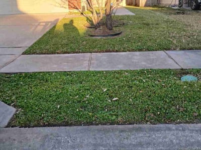 Lawn Care service in Mission, 78572