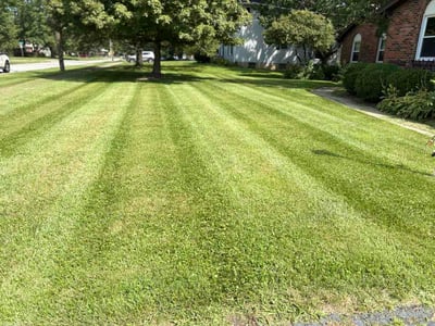 Lawn Care service in Wheeling, 26003
