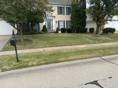 Lawn Care service in Clayton, 63105