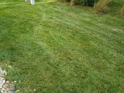 Lawn Care service in Stoughton, 53589