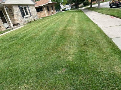 Lawn Care service in Elm Grove, 53122