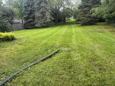 Lawn Care service in Elm Grove, 53122