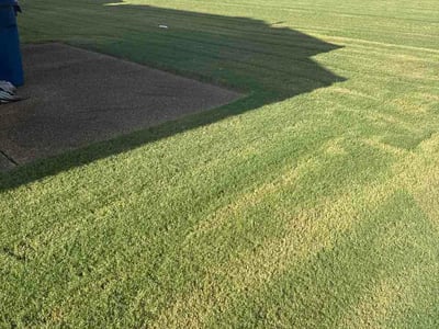 Lawn Care service in West Memphis, 72301