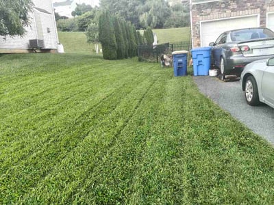 Lawn Care service in Enola, 17025