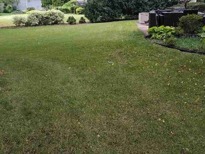 Lawn Care service in Bloomington, 61701
