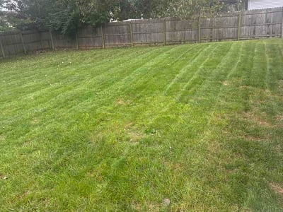Lawn Care service in Bloomington, 61701
