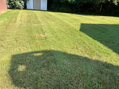 Lawn Care service in Brookhaven, 30319