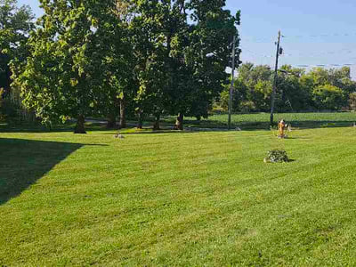 Lawn Care service in Elizabethtown, 17022