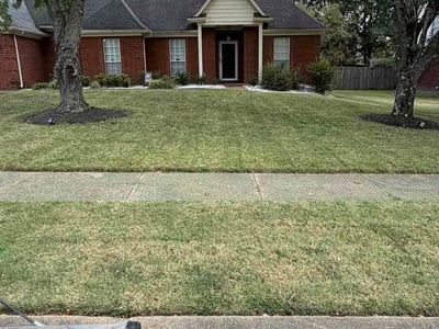 Lawn Care service in ,