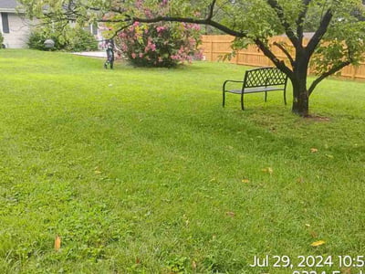 Lawn Care service in ,