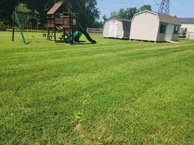 Lawn Care service in Woodford, 22580