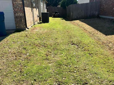 Lawn Care service in Fort Lee, 07024