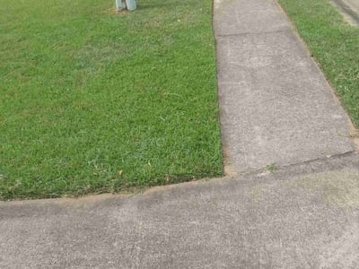 Lawn Care service in Fort Lee, 07024