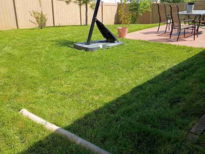 Lawn Care service in Columbia, 65201