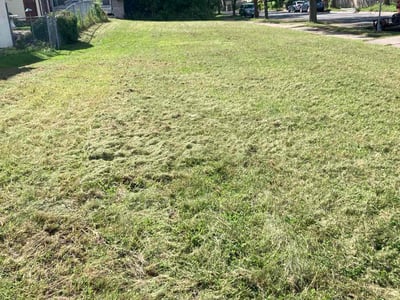 Lawn Care service in Saint Cloud, 56301