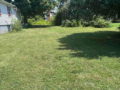 Lawn Care service in Clinton, 37716