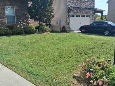 Lawn Care service in Clinton, 37716