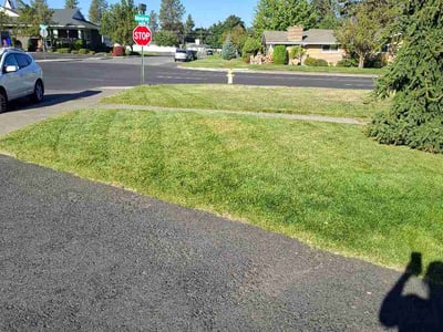Lawn Care service in Spokane, 99201