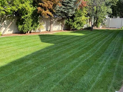 Lawn Care service in Spokane, 99201