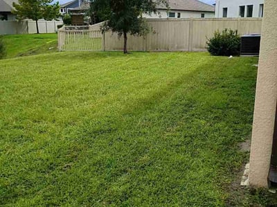 Lawn Care service in Largo, 33771