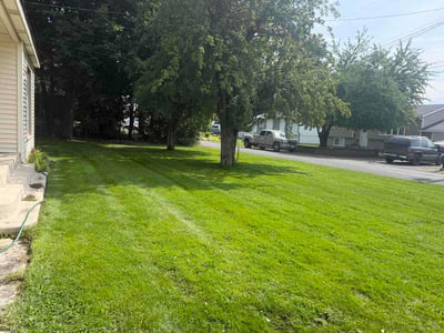 Lawn Care service in Colville, 99114