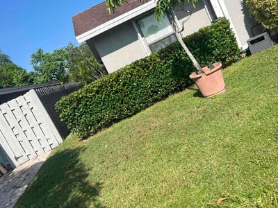 Lawn Care service in Royal Palm Beach, 33411