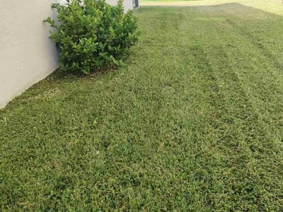 Lawn Care service in Mahwah, 07430