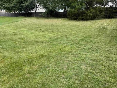 Lawn Care service in Thomasville, 27360