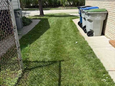 Lawn Care service in Sussex, 53089