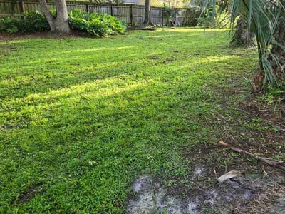 Lawn Care service in Saint Johns, 32259