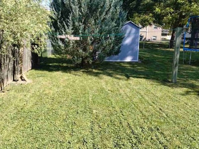 Lawn Care service in Chippewa Falls, 54729