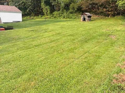 Lawn Care service in Chippewa Falls, 54729