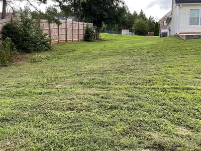 Lawn Care service in Utica, 13501