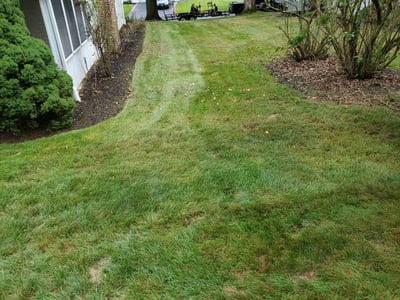 Lawn Care service in Camp Hill, 17011