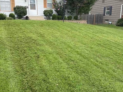 Lawn Care service in Prairie Village, 66208