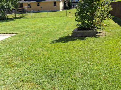 Lawn Care service in Christiansburg, 24073