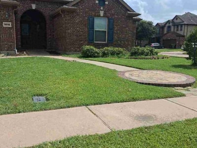 Lawn Care service in Edinburg, 78539
