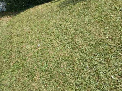 Lawn Care service in Arnold, 63010