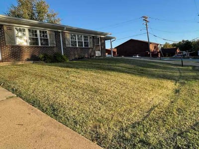 Lawn Care service in Arnold, 63010