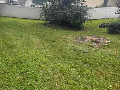 Lawn Care service in Fairfax, 22030