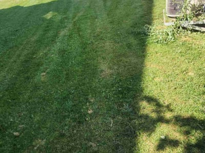 Lawn Care service in Sun Prairie, 53590
